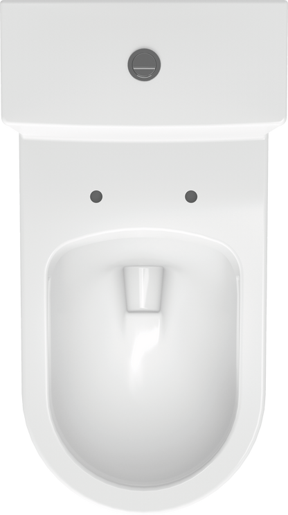 Duravit Rimless One-Piece Toilet w/ Soft Closure Seat and Cover